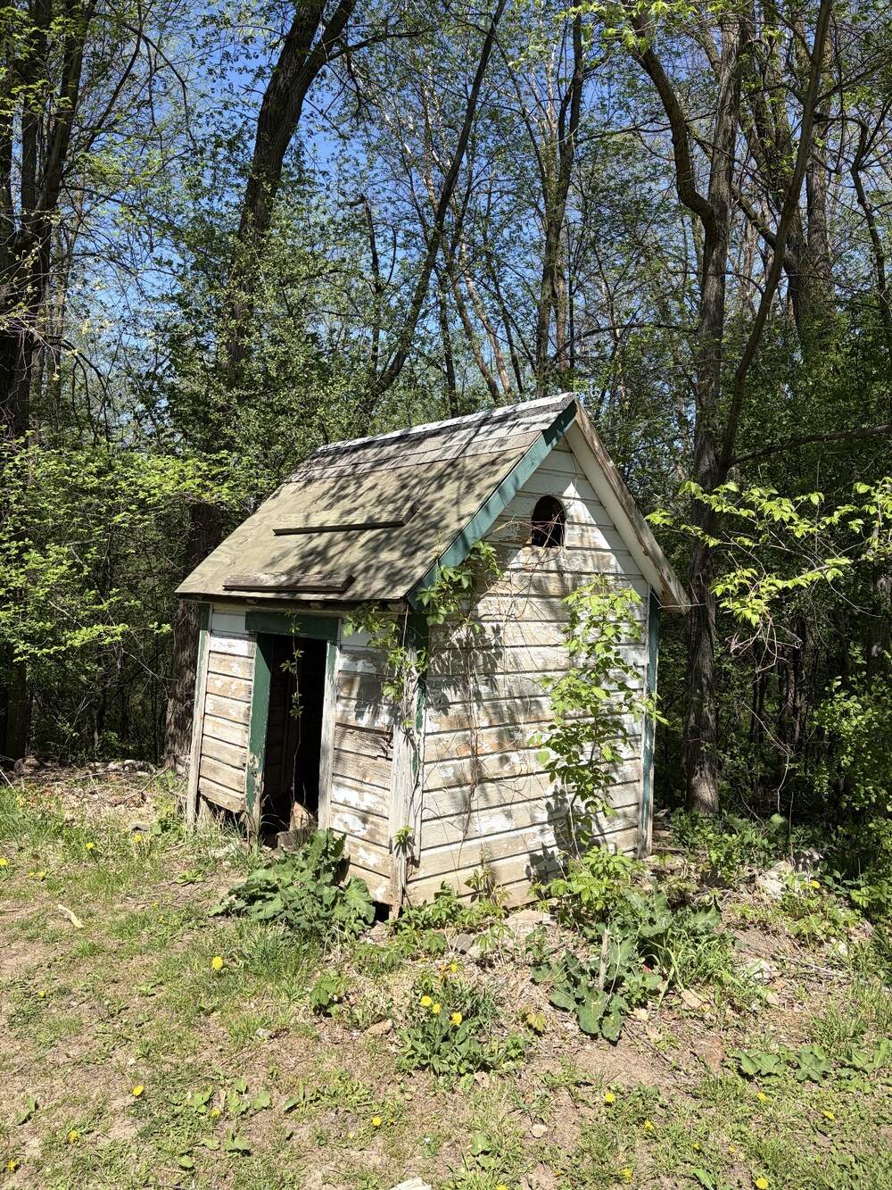 Old backyard shed before Goldsmith Exteriors demolition and haul-away